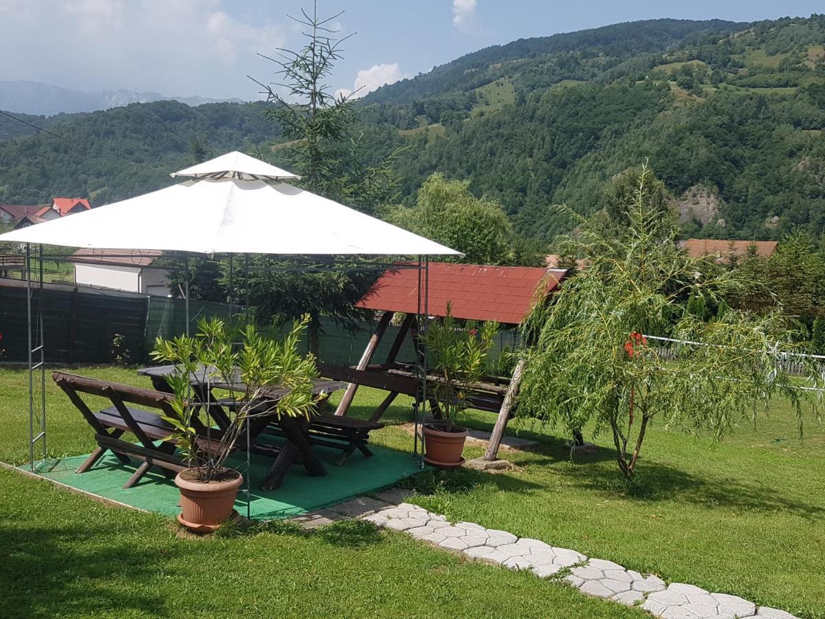Pensiunea Casa Ady Μπραν Εξωτερικό φωτογραφία