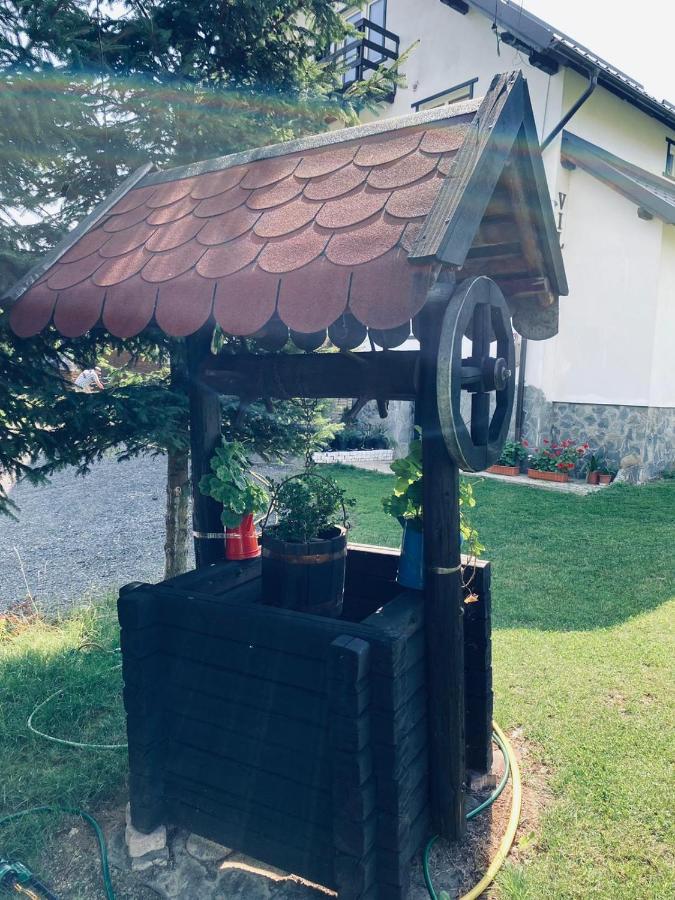 Pensiunea Casa Ady Μπραν Εξωτερικό φωτογραφία