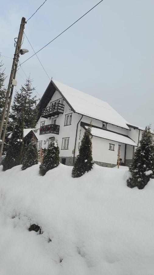Pensiunea Casa Ady Μπραν Εξωτερικό φωτογραφία